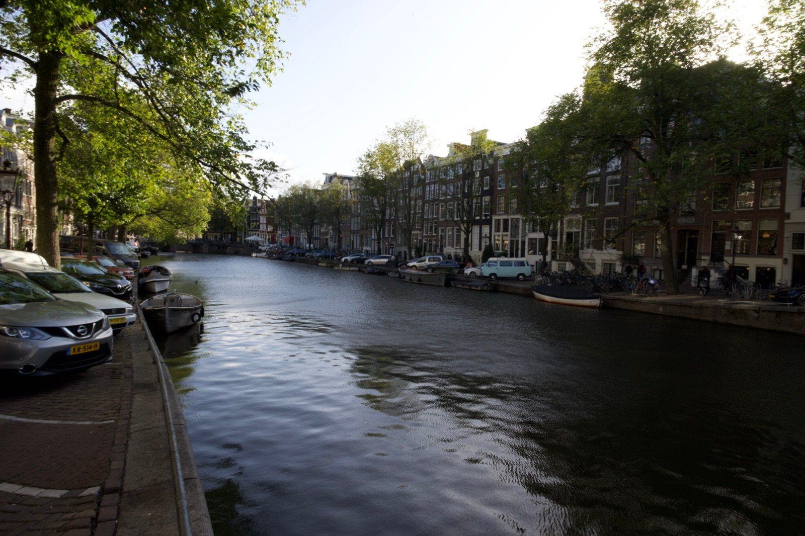 Classic Amsterdam canal lined with trees and townhouses